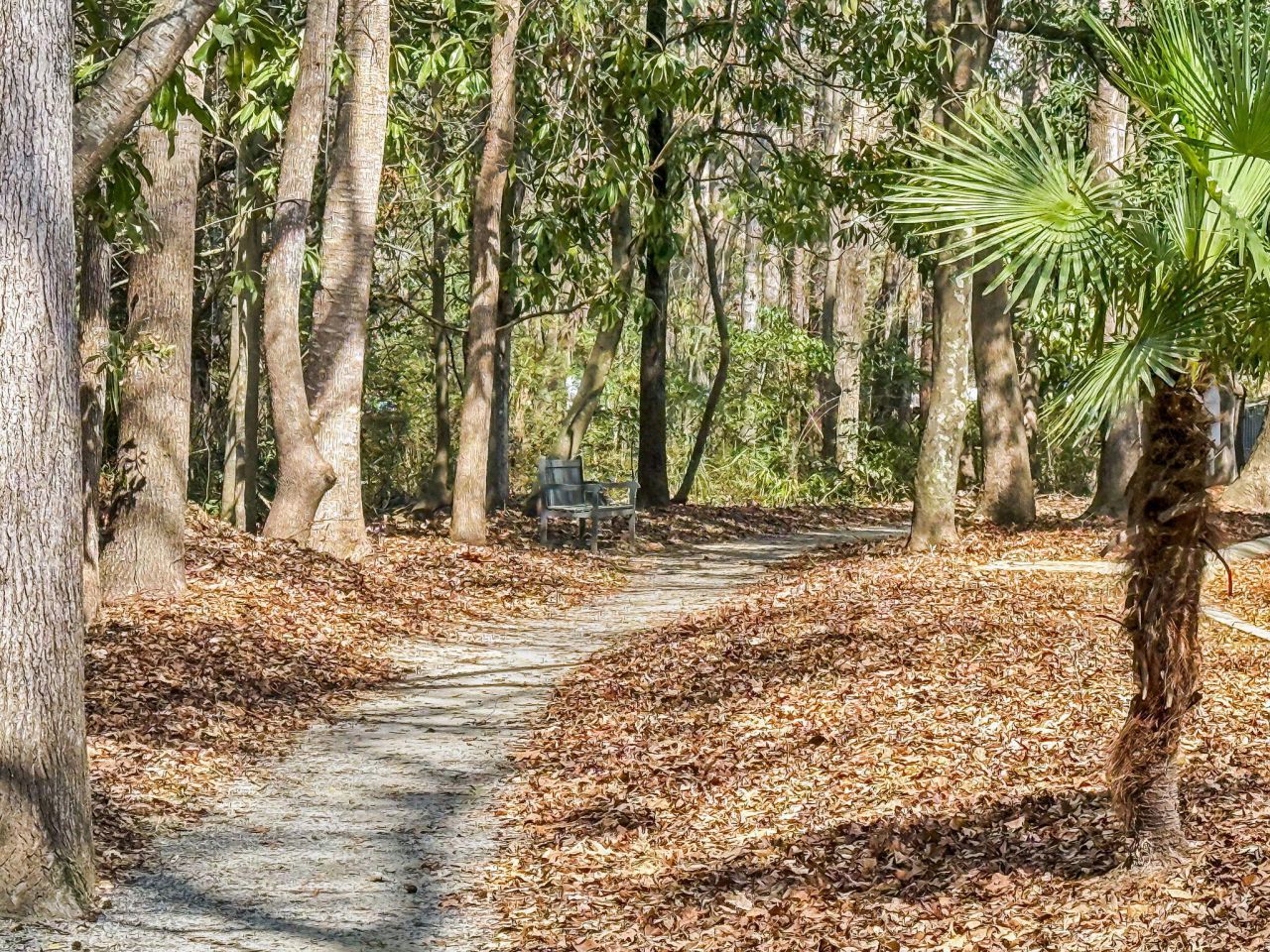 1025 Riverland Woods Place Photo 26