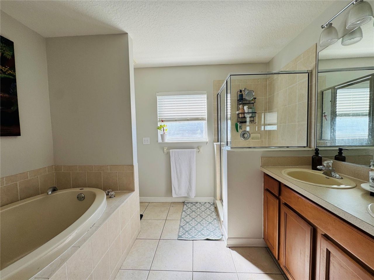 15207 Searobbin Drive , Lakewood Ranch, FL 34202 Photo