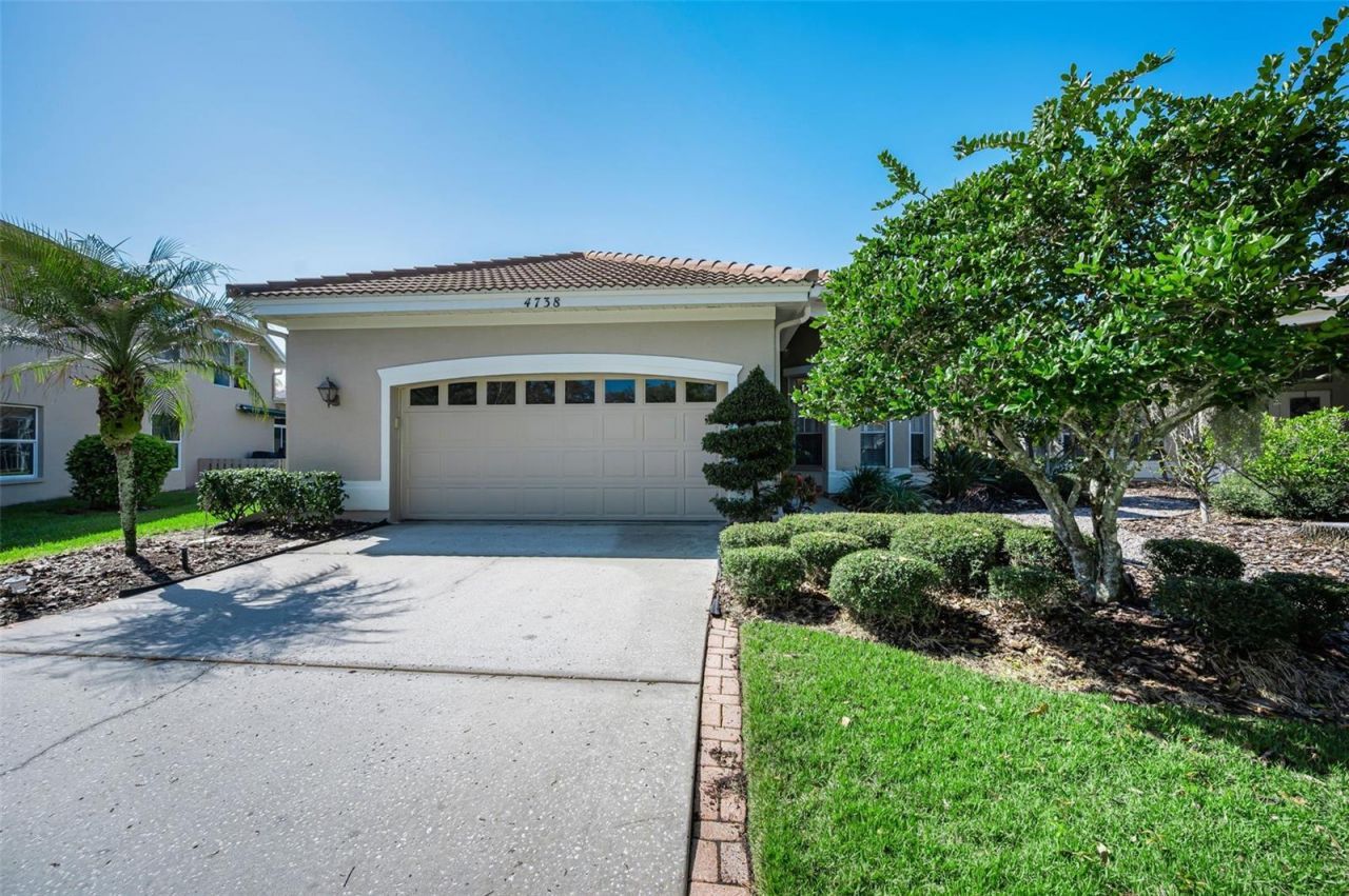 4738 Pebble Brook Drive, Oldsmar, FL 34677 Main Photo