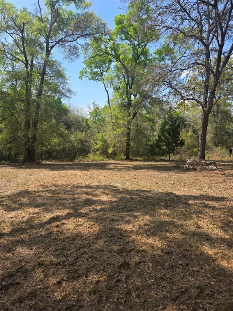 268 SW Luke Place, Fort White, FL 32038 Photo