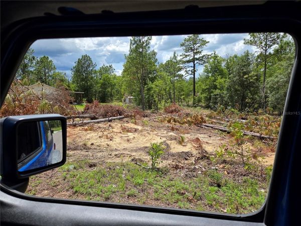 tbd NE 14TH PLACE, WILLISTON, FL 32696