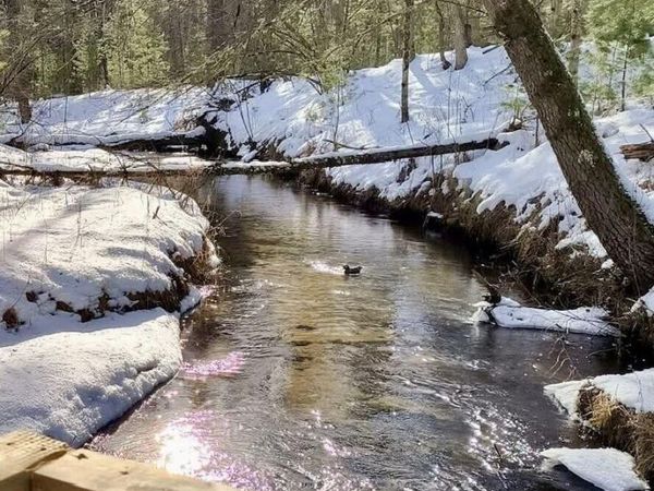 3833 E Creek Wood Drive, Chase, MI 49623