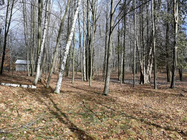 9828 Pontiac Trail, Evart, MI 49631