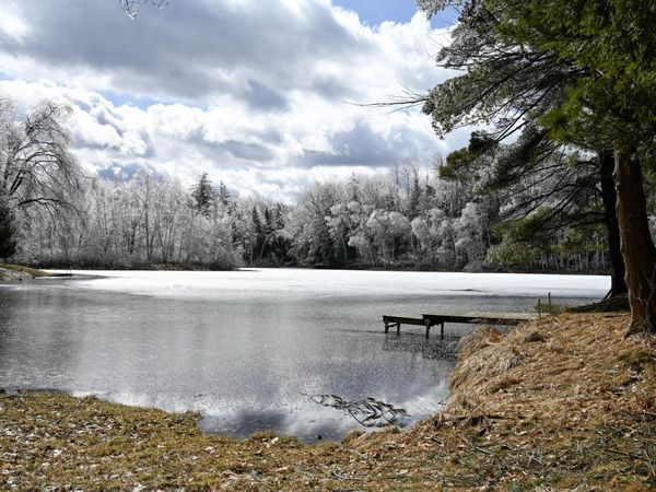 9828 Pontiac Trail, Evart, MI 49631