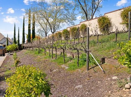 600 Landrise Ct, Folsom, CA 95630 Photo