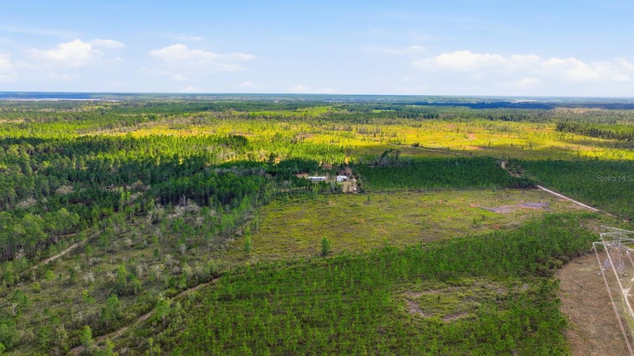 299 Cayenne Street, Interlachen, FL 32148 Photo