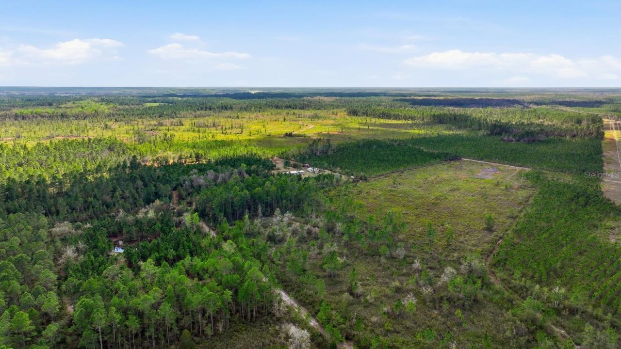 299 Cayenne Street, Interlachen, FL 32148 Photo