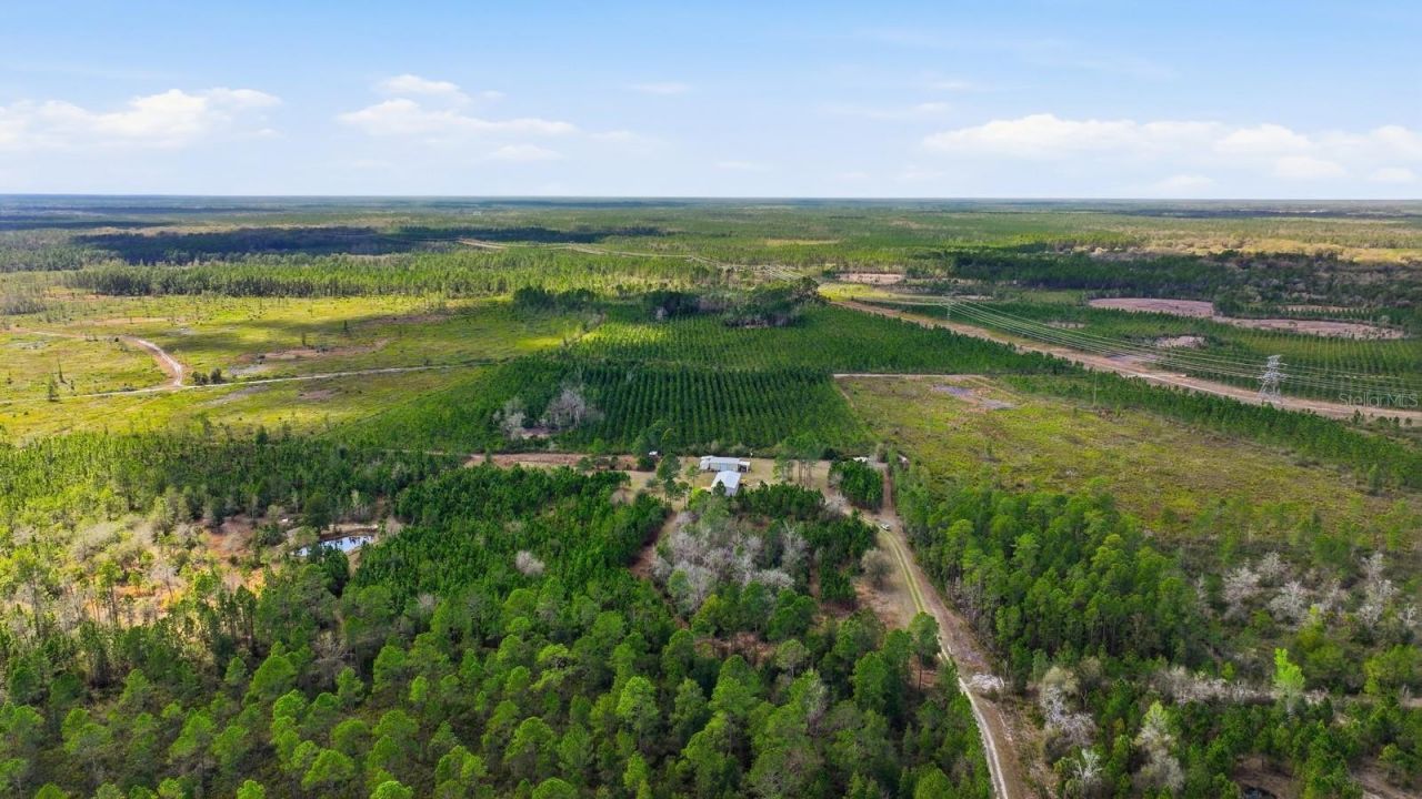 299 Cayenne Street, Interlachen, FL 32148 Photo