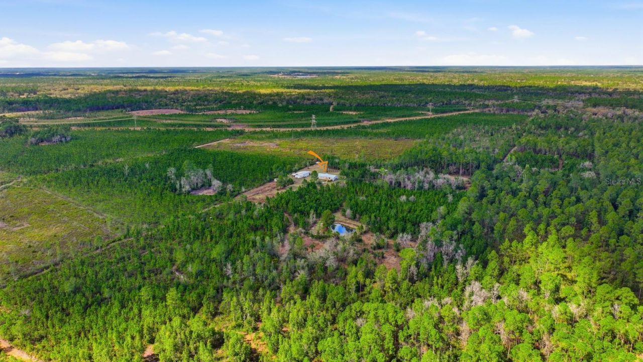 299 Cayenne Street, Interlachen, FL 32148 Photo