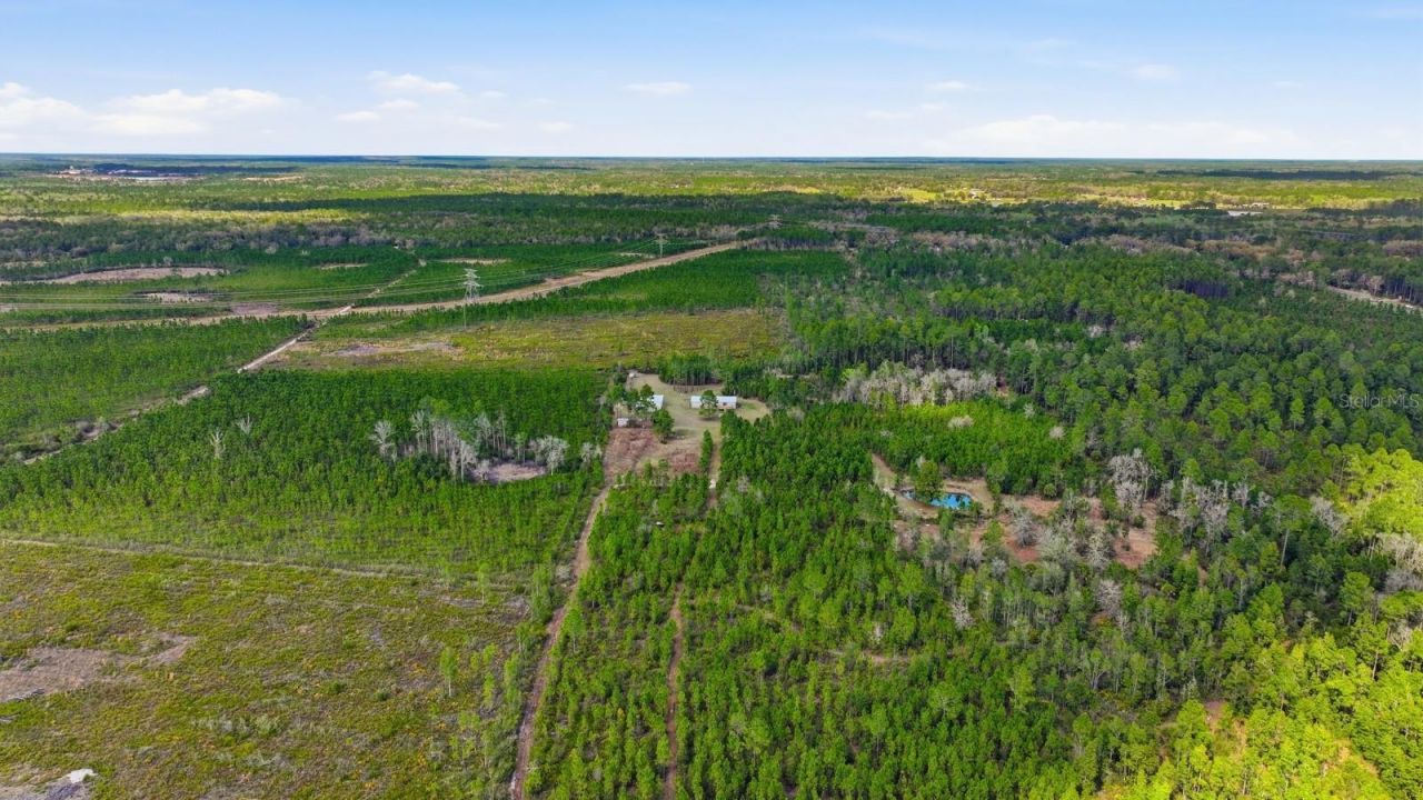 299 Cayenne Street, Interlachen, FL 32148 Photo