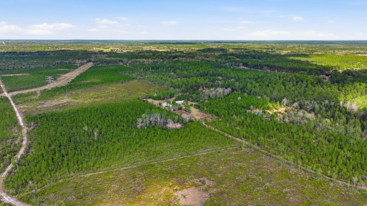 299 Cayenne Street, Interlachen, FL 32148 Photo