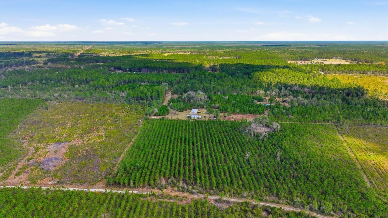 299 Cayenne Street, Interlachen, FL 32148 Photo