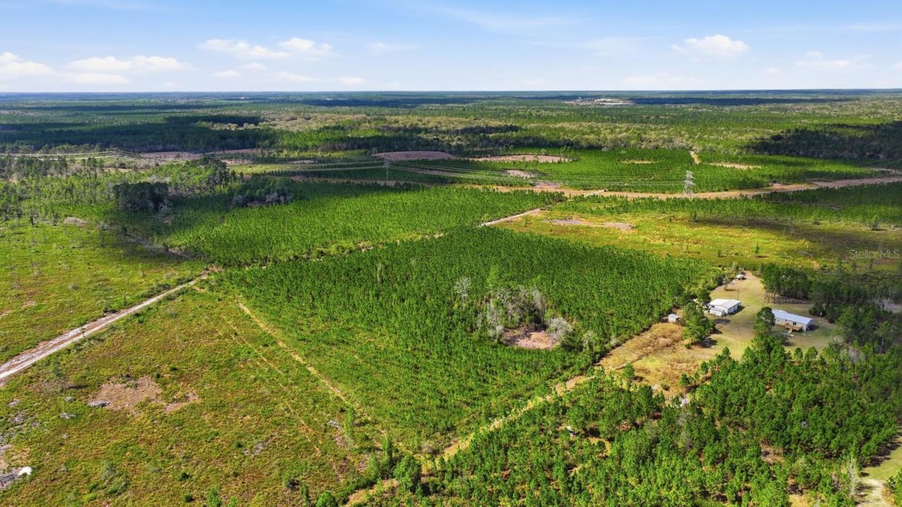 299 Cayenne Street, Interlachen, FL 32148 Photo