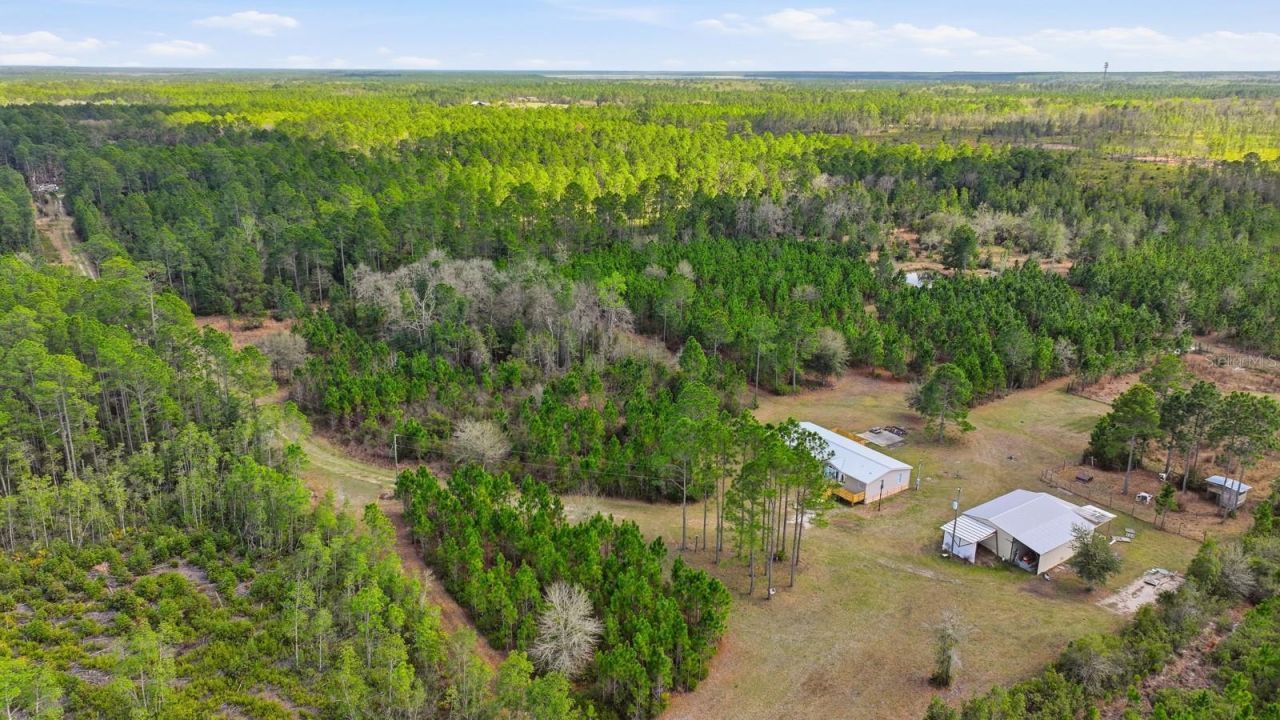 299 Cayenne Street, Interlachen, FL 32148 Photo