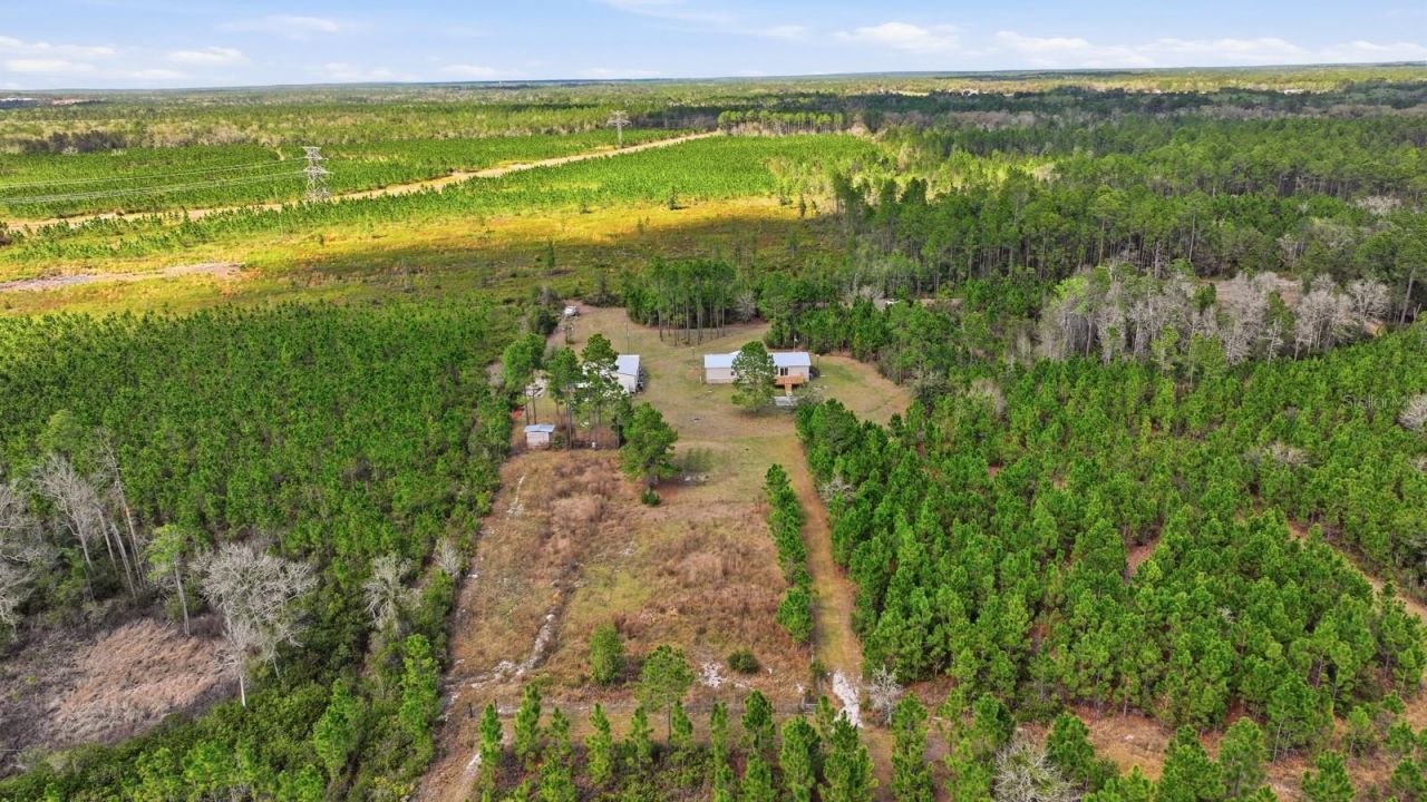 299 Cayenne Street, Interlachen, FL 32148 Photo