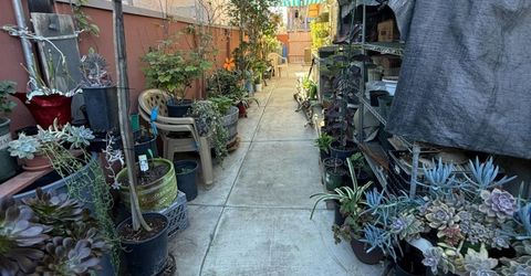 558 Cedarwood Ct, Los Banos, CA 93635 Photo