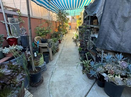 558 Cedarwood Ct, Los Banos, CA 93635 Photo