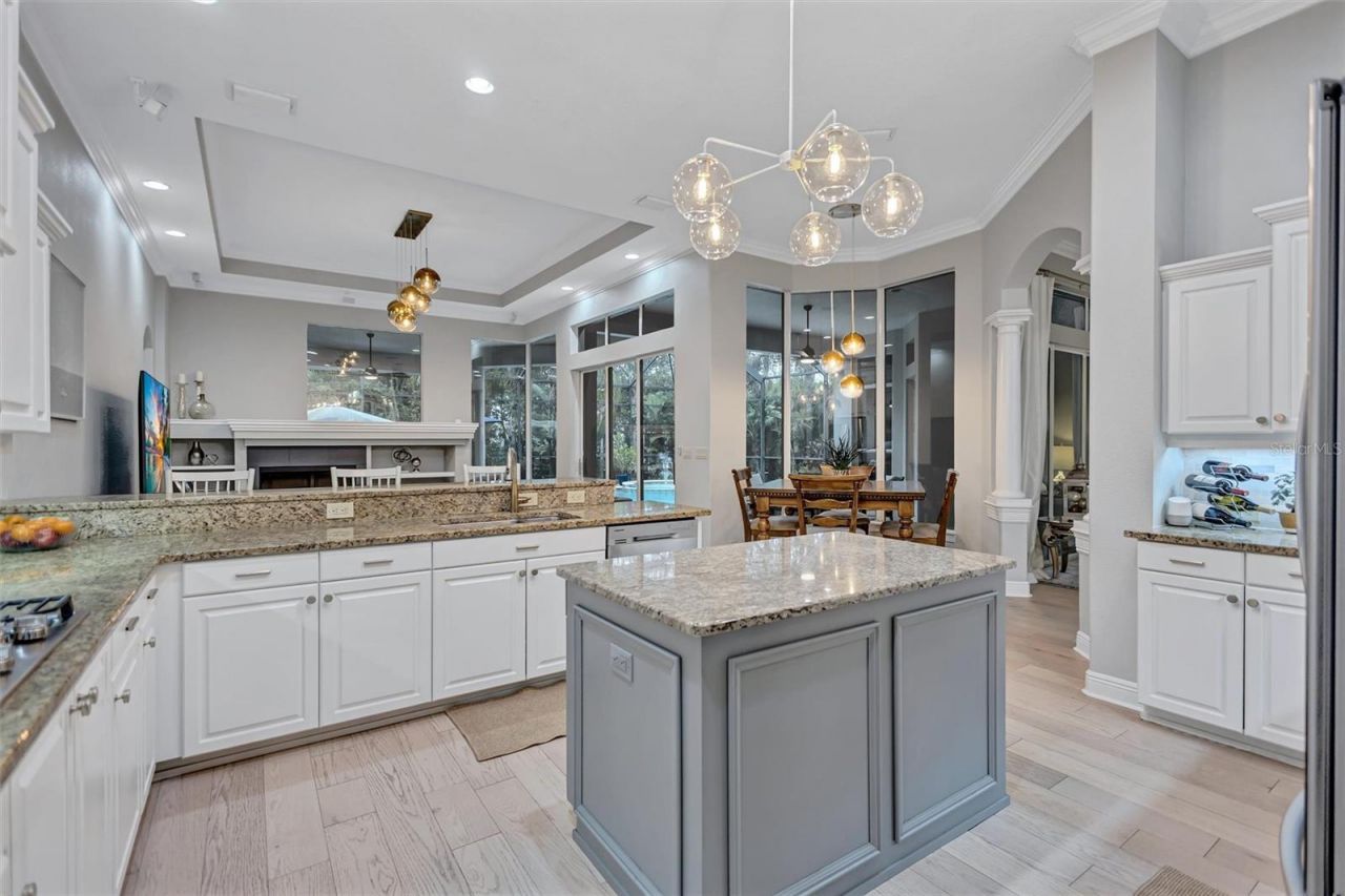 11809 Shire Wycliffe, Tampa, FL 33626 Photo