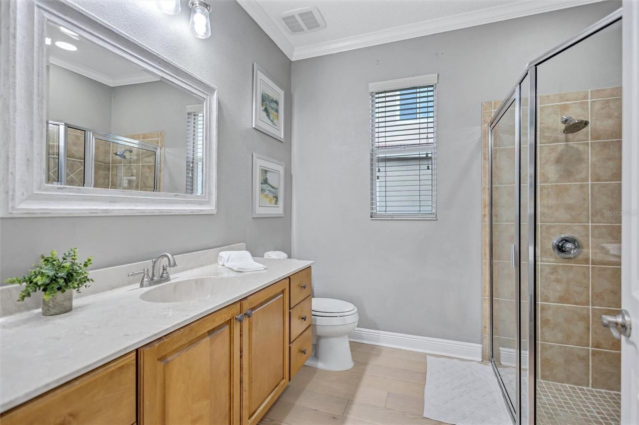 11809 Shire Wycliffe, Tampa, FL 33626 Photo