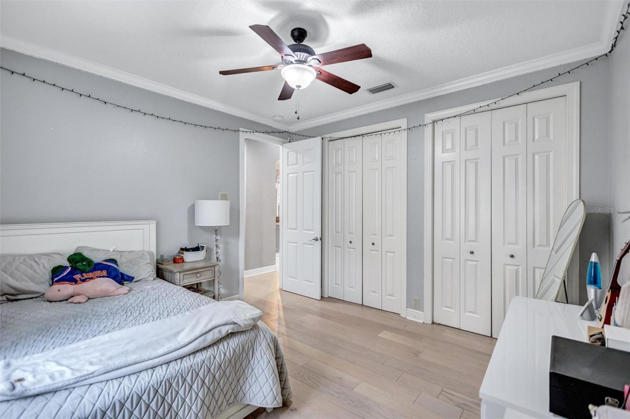 11809 Shire Wycliffe, Tampa, FL 33626 Photo