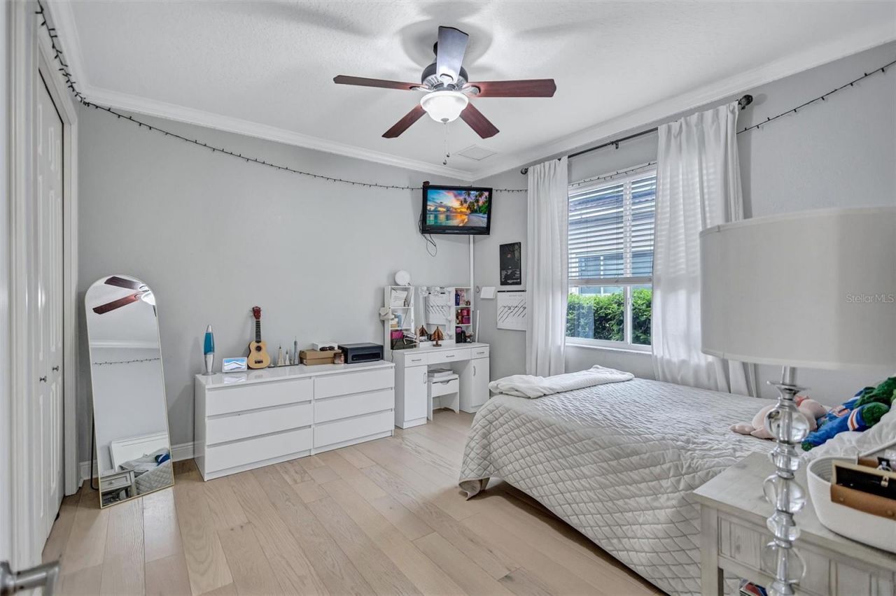 11809 Shire Wycliffe, Tampa, FL 33626 Photo