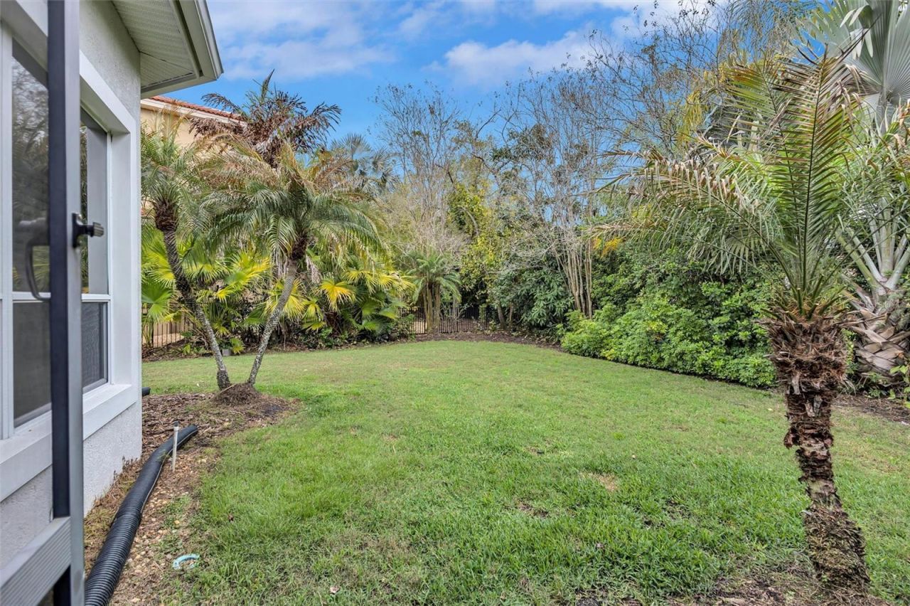 11809 Shire Wycliffe, Tampa, FL 33626 Photo