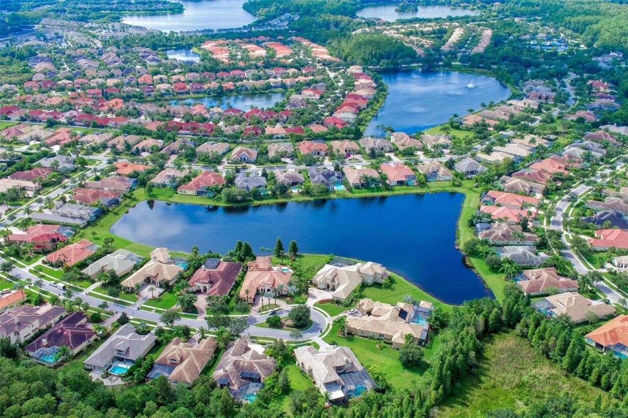 11809 Shire Wycliffe, Tampa, FL 33626 Photo