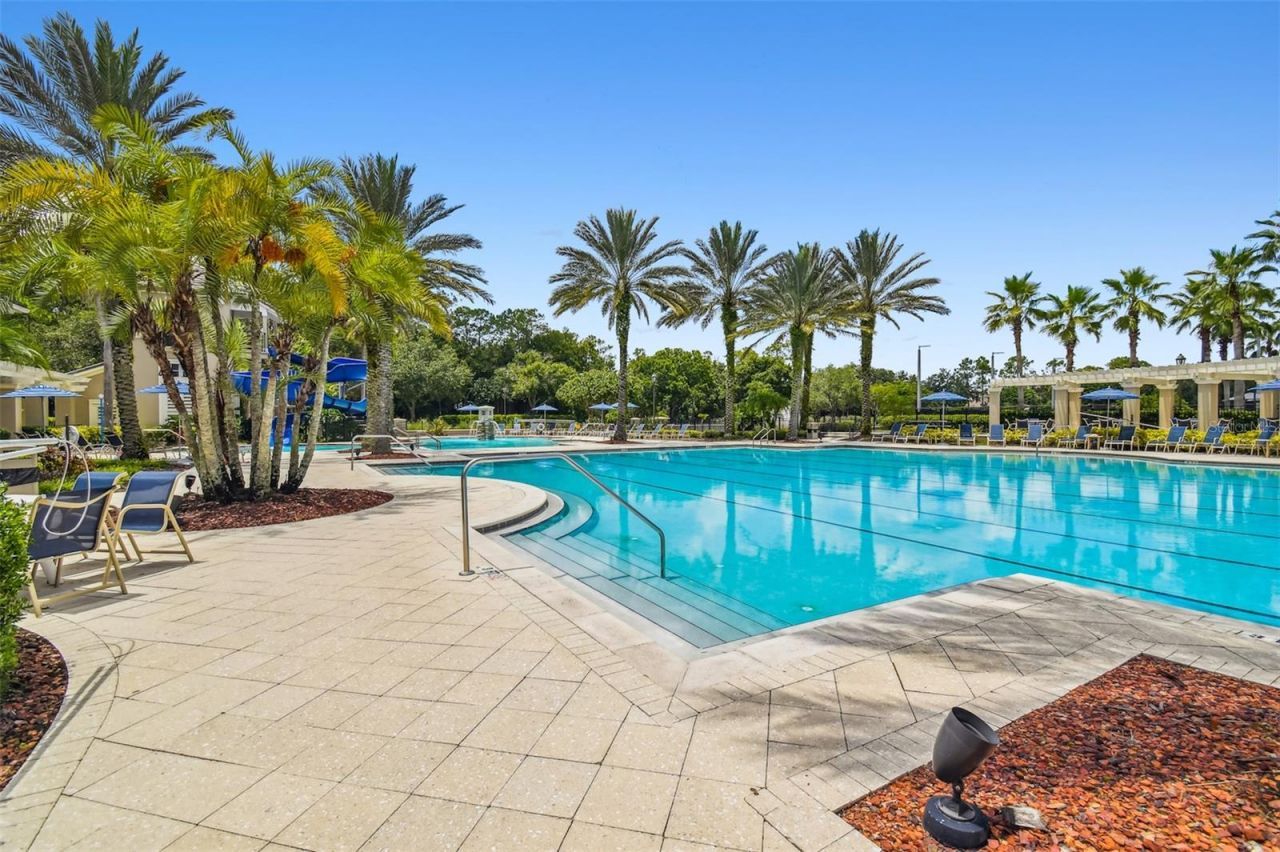 11809 Shire Wycliffe, Tampa, FL 33626 Photo