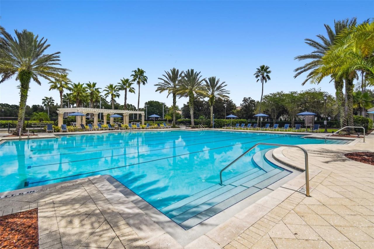 11809 Shire Wycliffe, Tampa, FL 33626 Photo