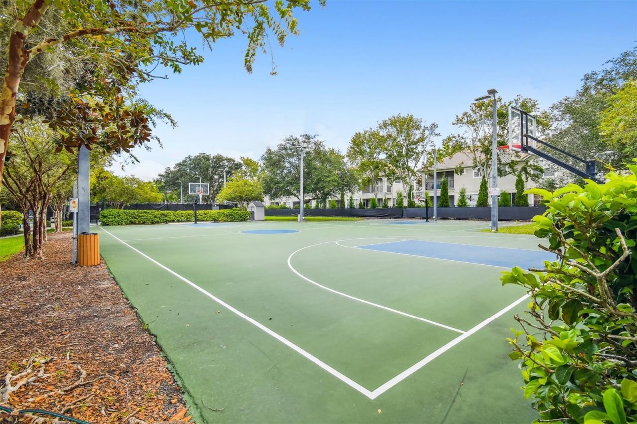 11809 Shire Wycliffe, Tampa, FL 33626 Photo