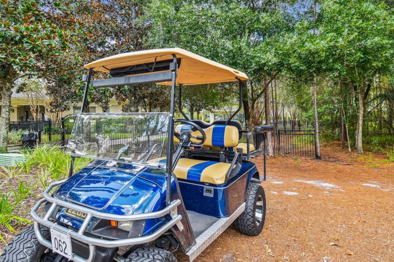 11809 Shire Wycliffe, Tampa, FL 33626 Photo