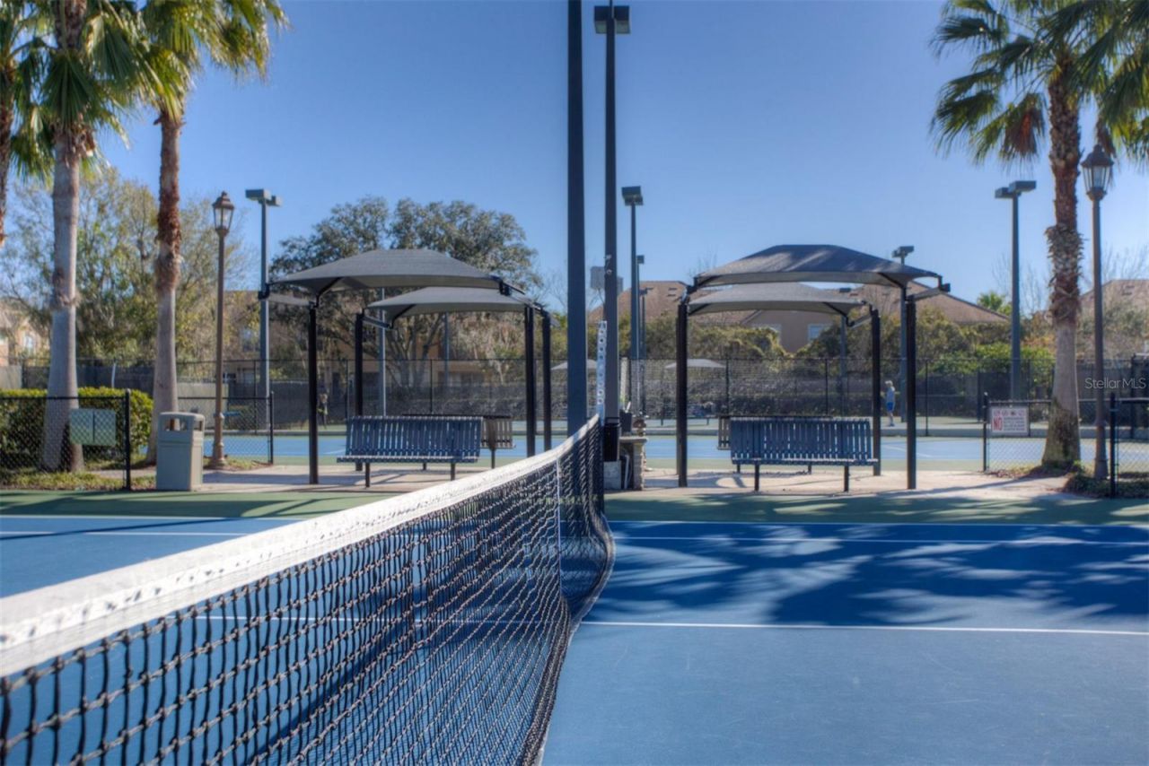 11809 Shire Wycliffe, Tampa, FL 33626 Photo