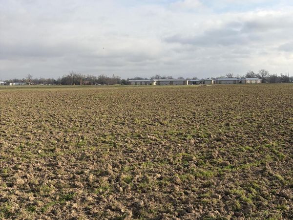 Cypress Avenue, Greenwood, MS 38930