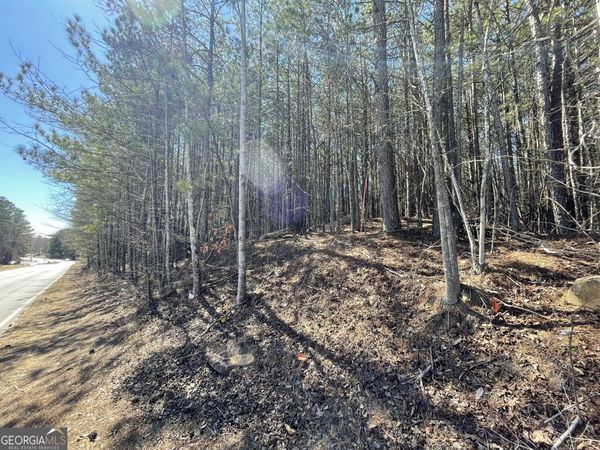 0 Shannon Parkway, Union City, GA 30291