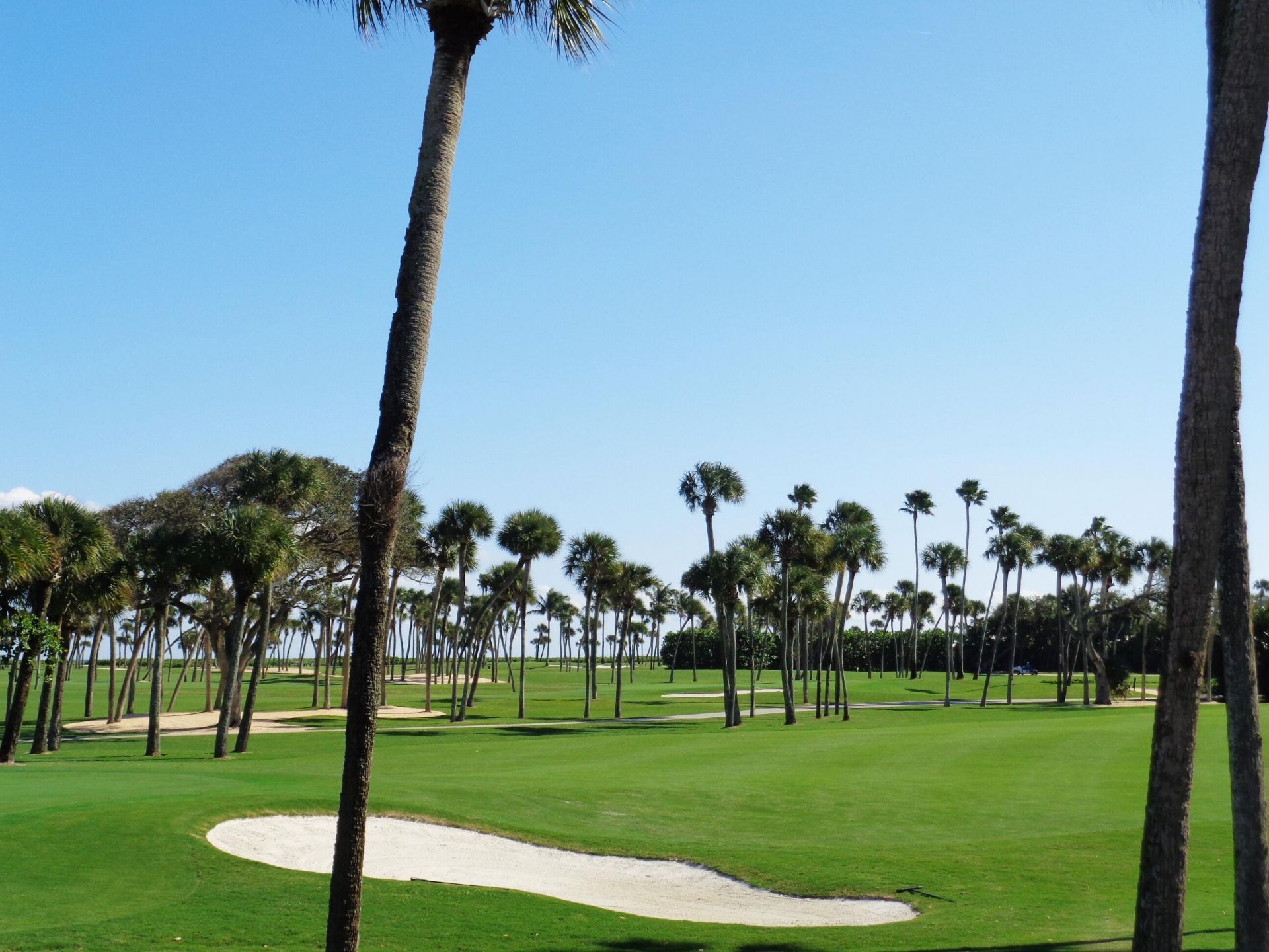 11124 Hotchkiss Drive, Unit A, Sebastian, FL 32958 Photo