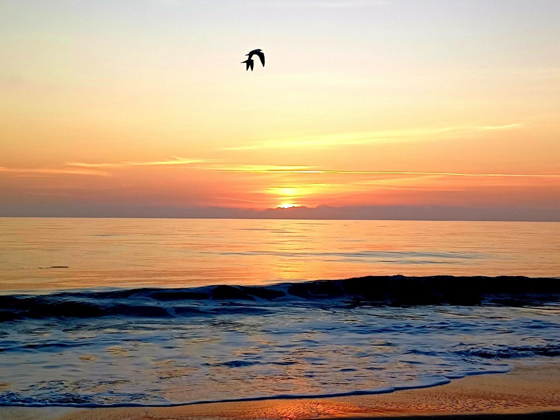 11124 Hotchkiss Drive, Unit A, Sebastian, FL 32958 Photo