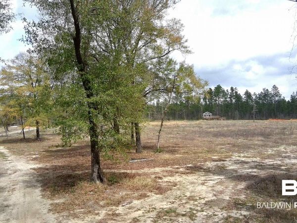 0 Paul Road, Perdido, AL 36562