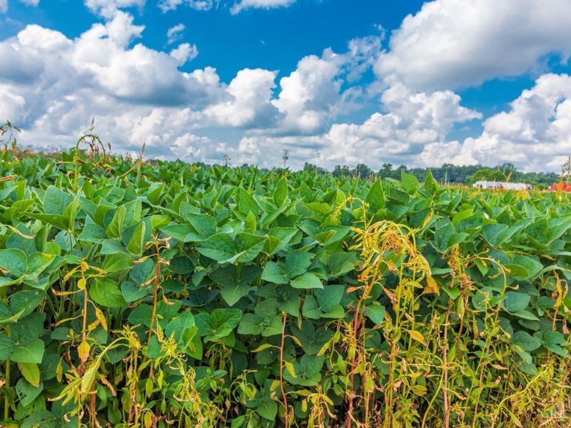 0 Stern Drive, Seaman, OH 45679 Photo 2