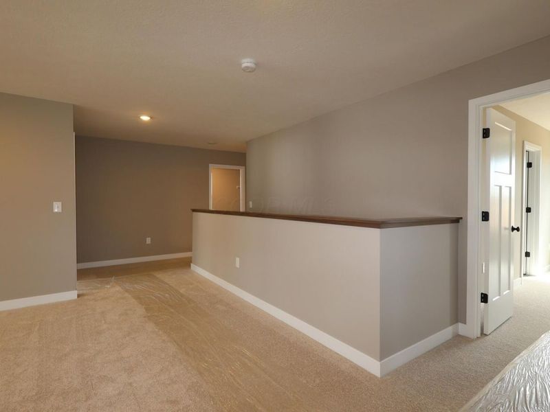 3711 Colts Reign Drive, Powell, OH 43065 Photo 10