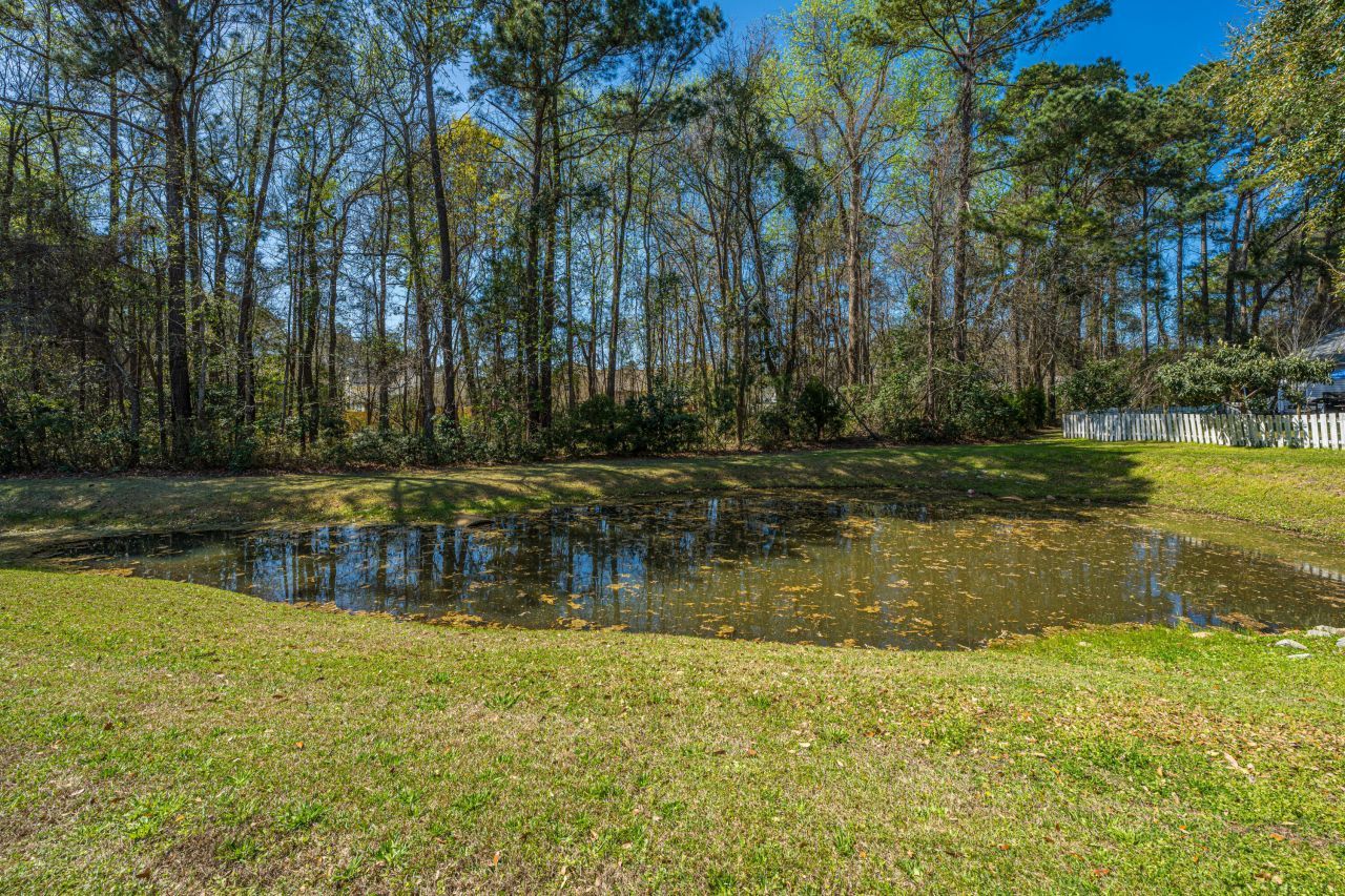 1373 Palm Cove Drive Photo 30