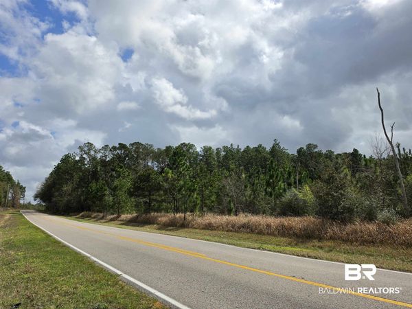 0 Henry Davis Road, Chunchula, AL 36521