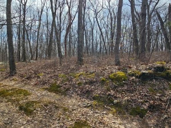 0 Upper Hibernia Rd, Rockaway, NJ 07866