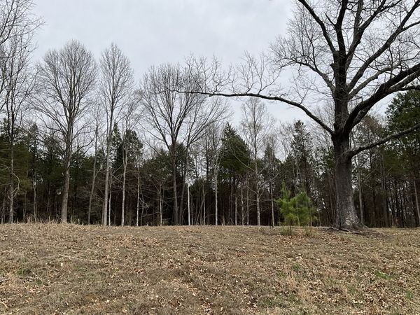 305 Pecan Point , Goreville, IL 62939