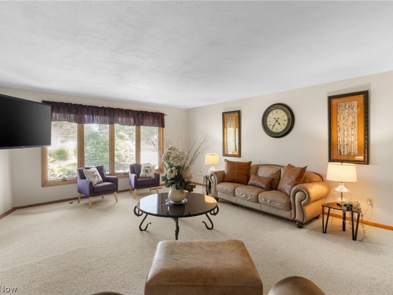 11950 Castleton Lane, Grafton, OH 44044 Photo 20