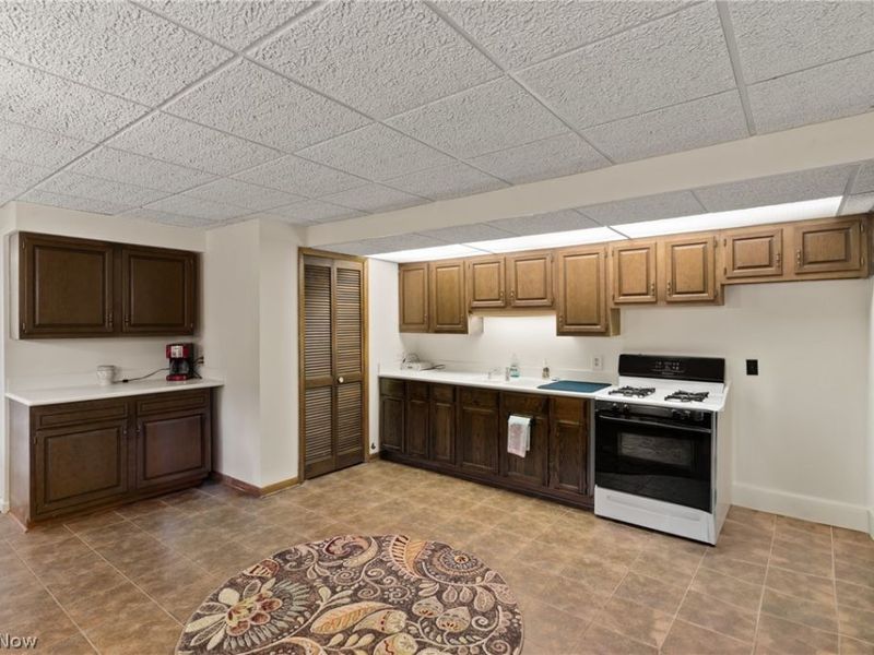 11950 Castleton Lane, Grafton, OH 44044 Photo 29