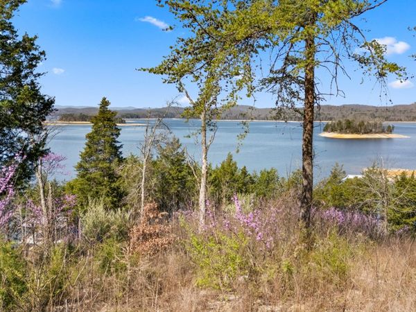 Lot 765 Russell Brothers Rd, Sharps Chapel, TN 37866