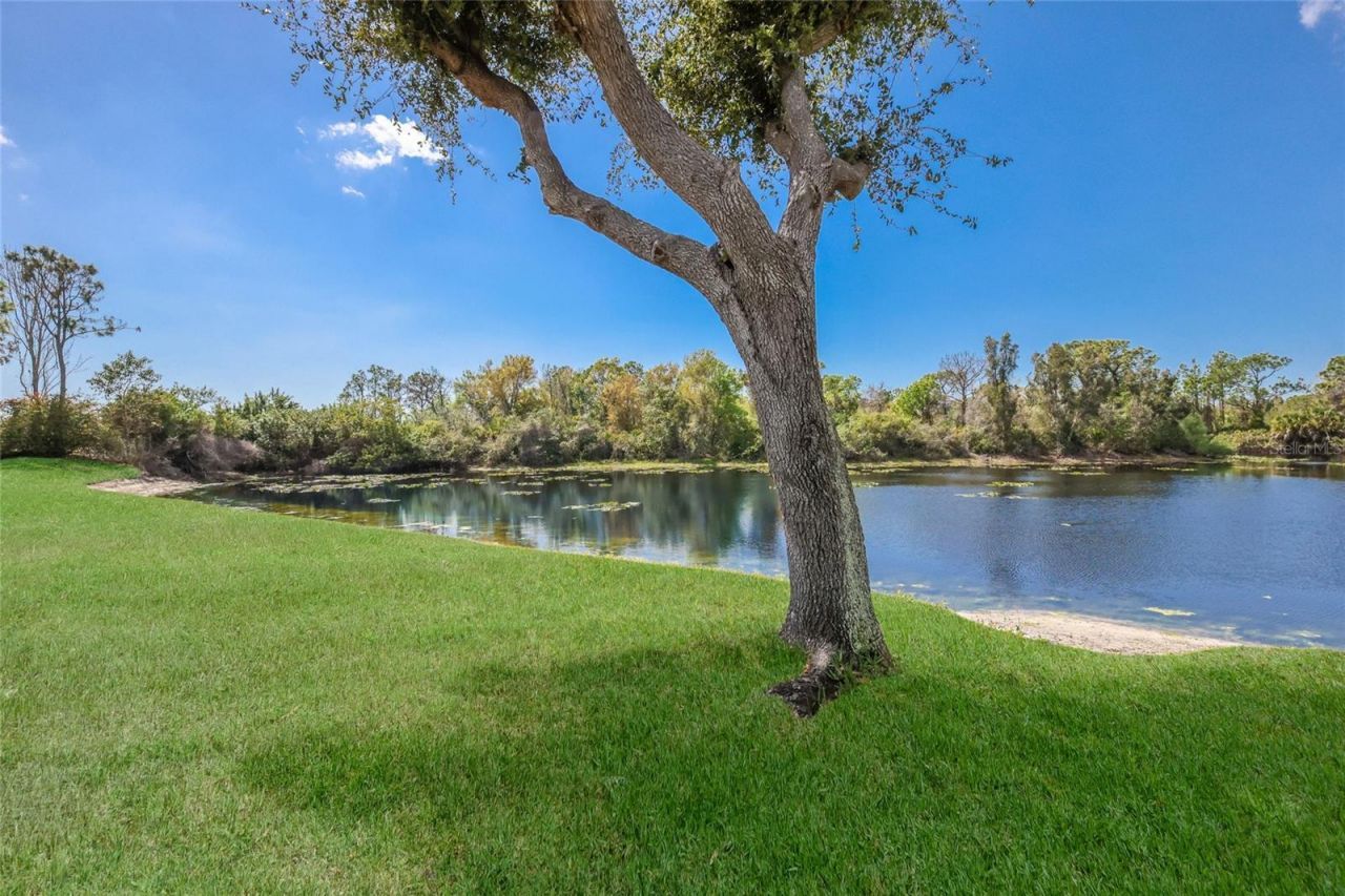 8428 Misty Morning Court, Lakewood Ranch, FL 34202 Photo