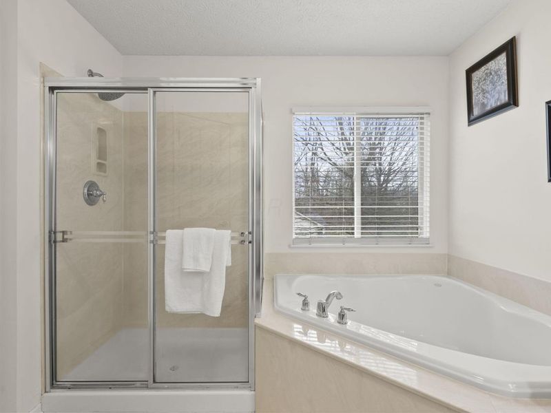 7631 Pleasant Colony Court, Lewis Center, OH 43035 Photo 45