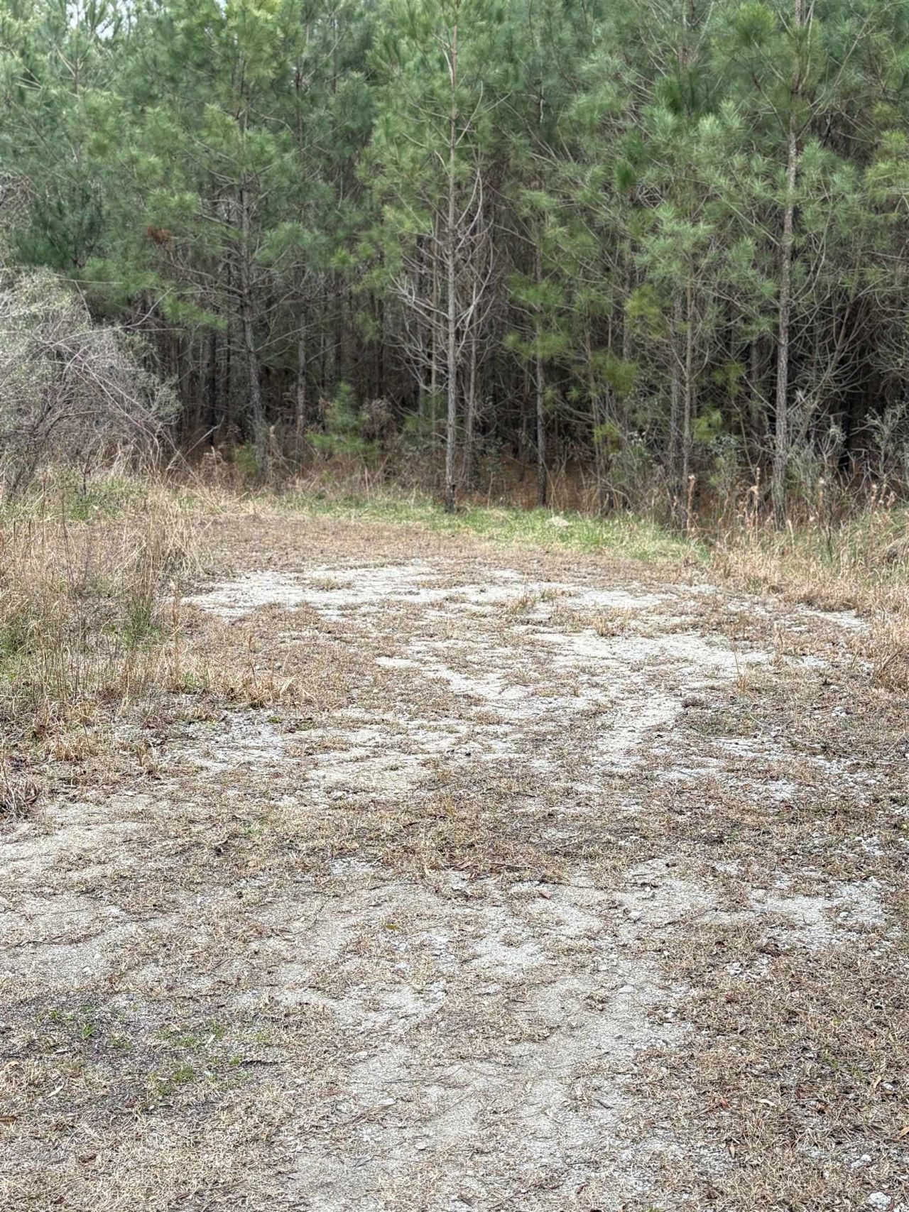 Tbd Turkey Pen Rd. Photo 4