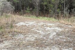 Tbd Turkey Pen Rd. photo 4